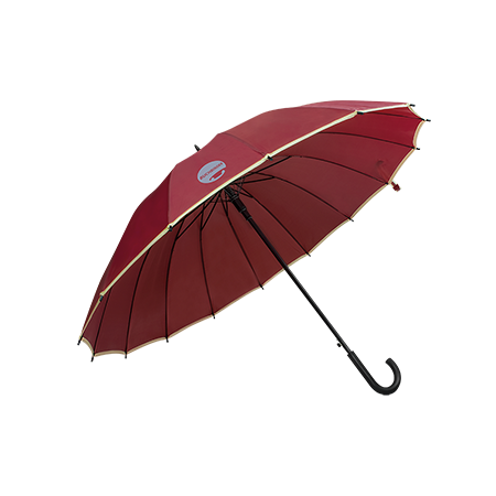 Automatische paraplu