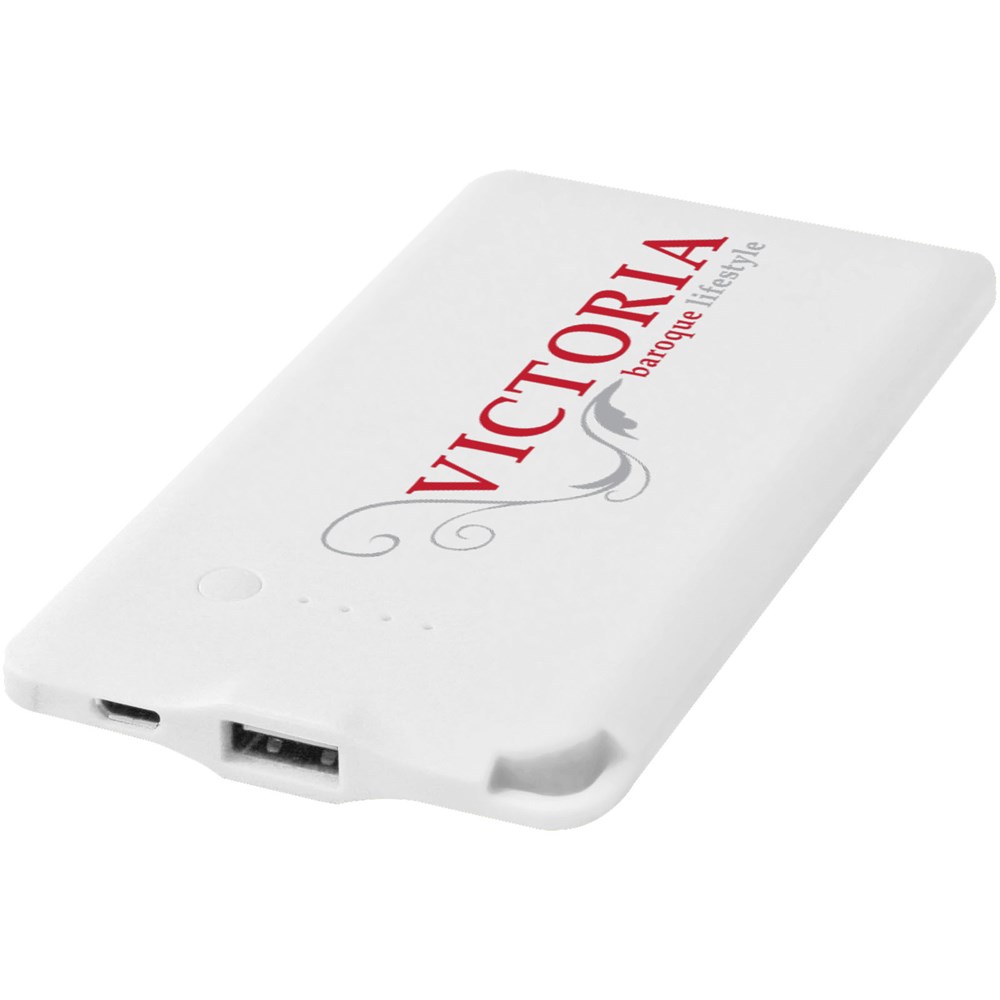 WS119 4000 mAh powerbank