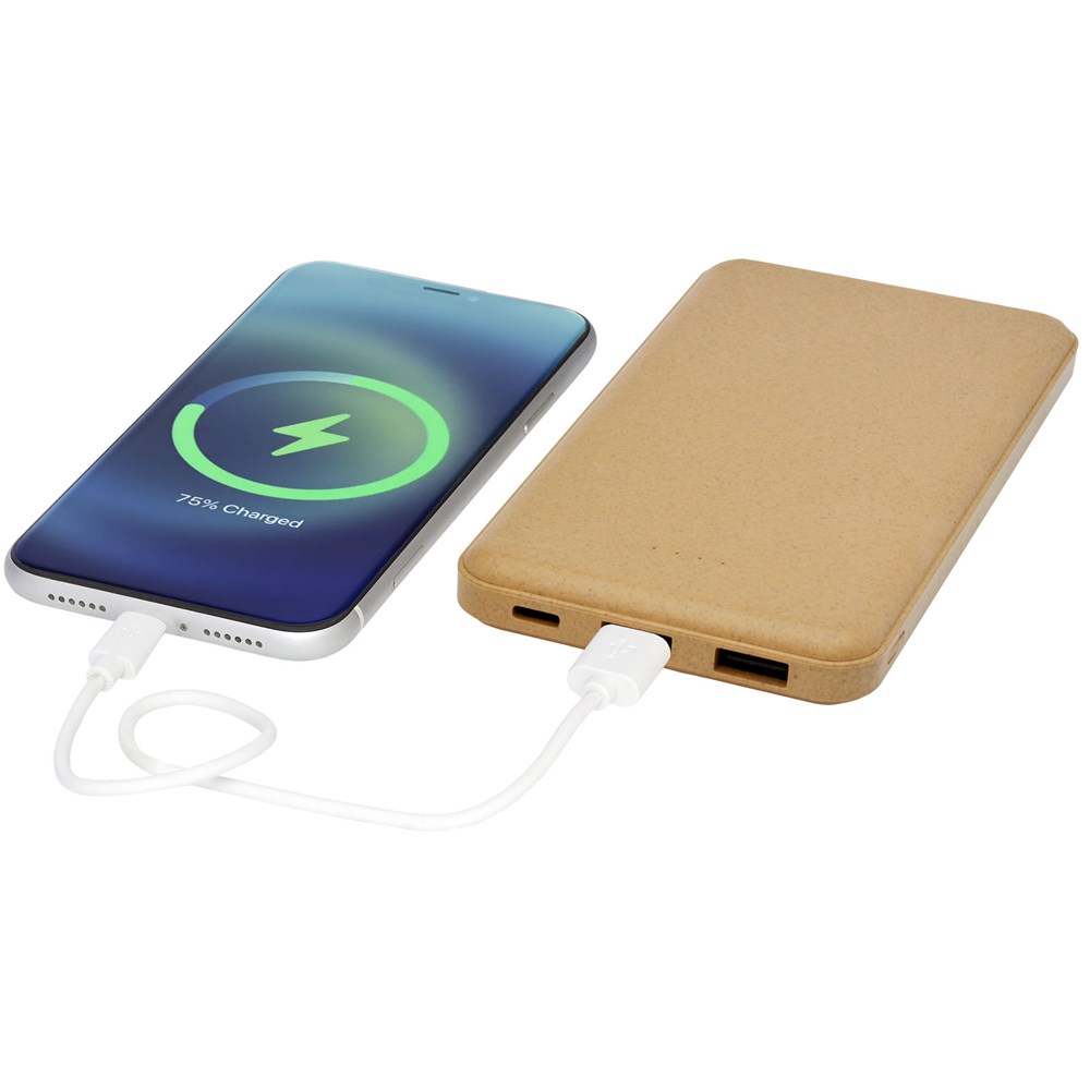 Eco 10000 mAh powerbank