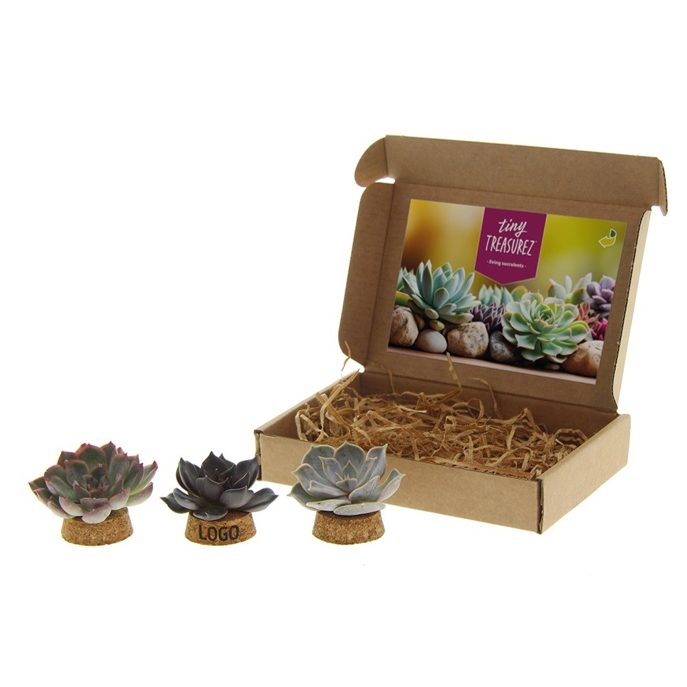 Tiny Treasurez® - Living candle trio in brievenbusdoosje