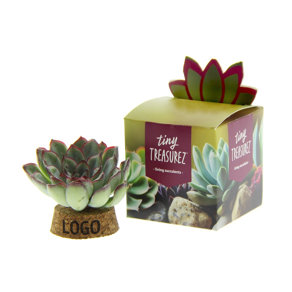 Tiny Treasurez® - Living candle in giftbox