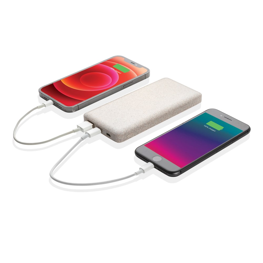 Powerbank 10.000 mAh tarwevezel