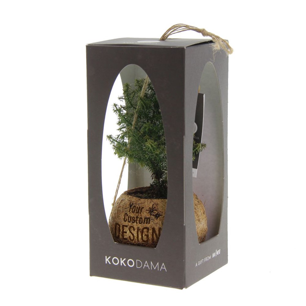 Kokodama® kerstboom (S) in giftbox