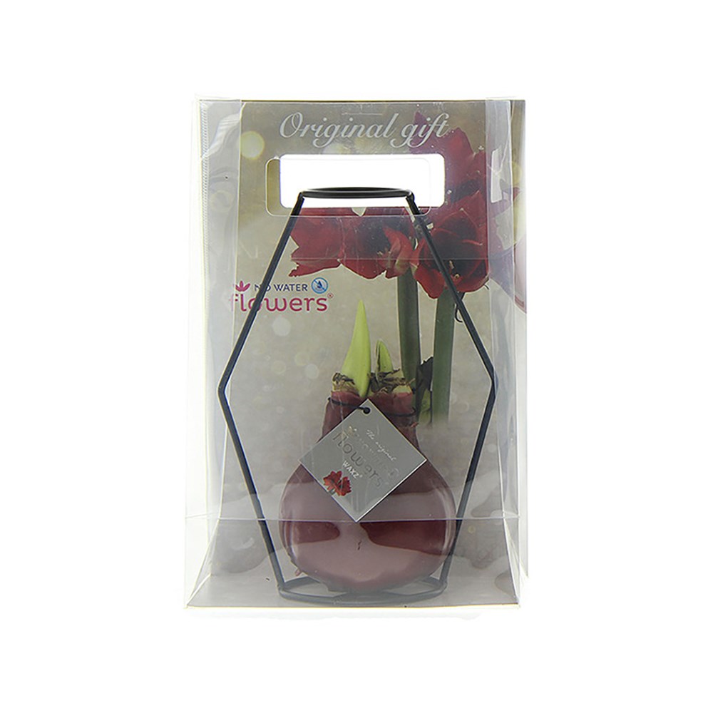 No Water Flowers® - Formz modern, In giftbag, Rood