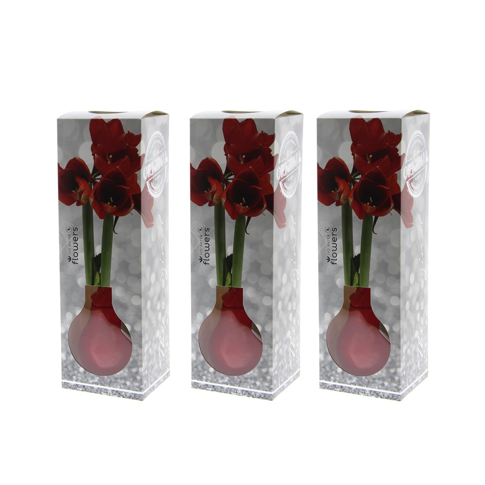 No Water Flowers® - Formz modern, In giftbag, Rood