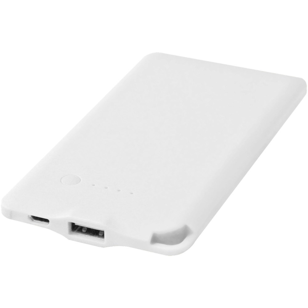 WS119 4000 mAh powerbank