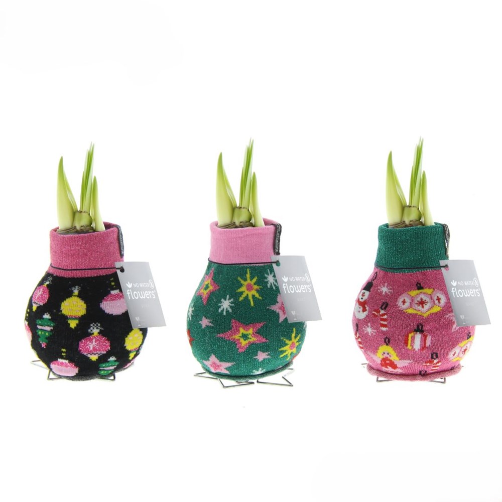 No Water Flowers® - Fashionz Patterns Disco, Zonder verpakking