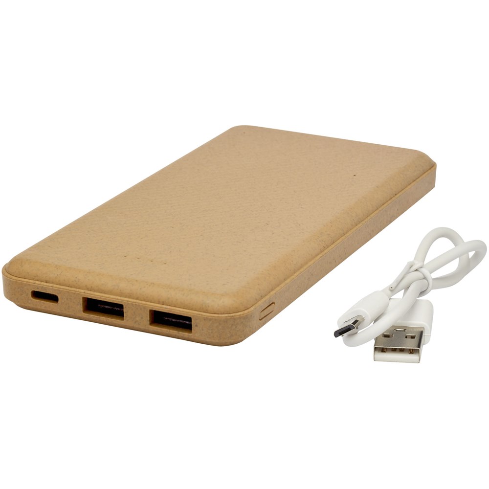 Eco 10000 mAh powerbank